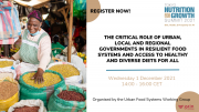 Conference Recording: N4G Side Event on Local Governments
